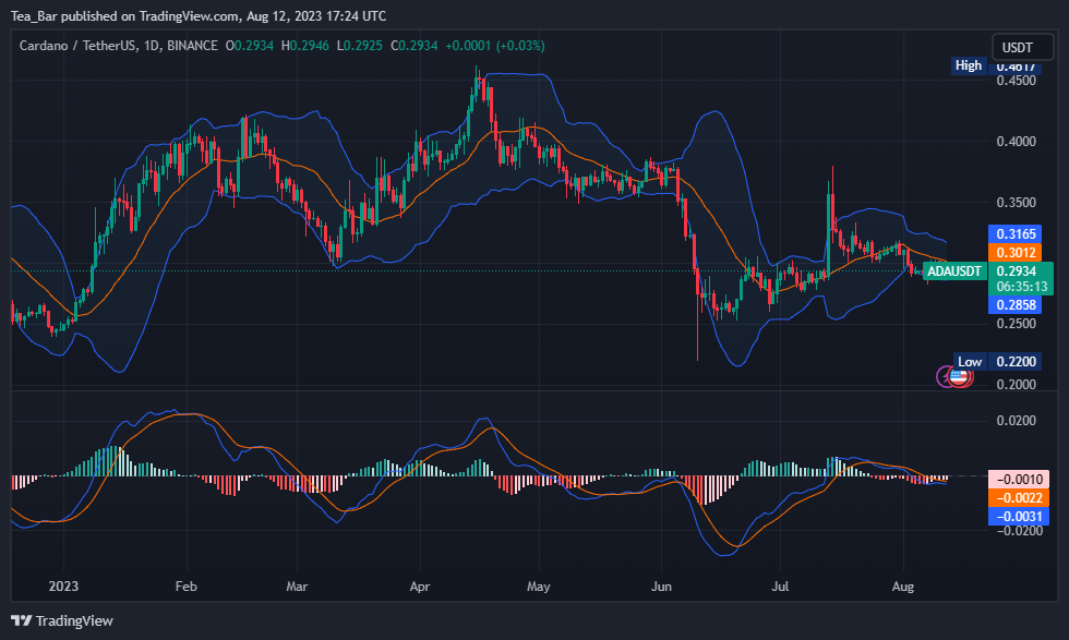 Cardano (ADA) Price Breaks Down Below $0.3: A Chance for Higher Profits?