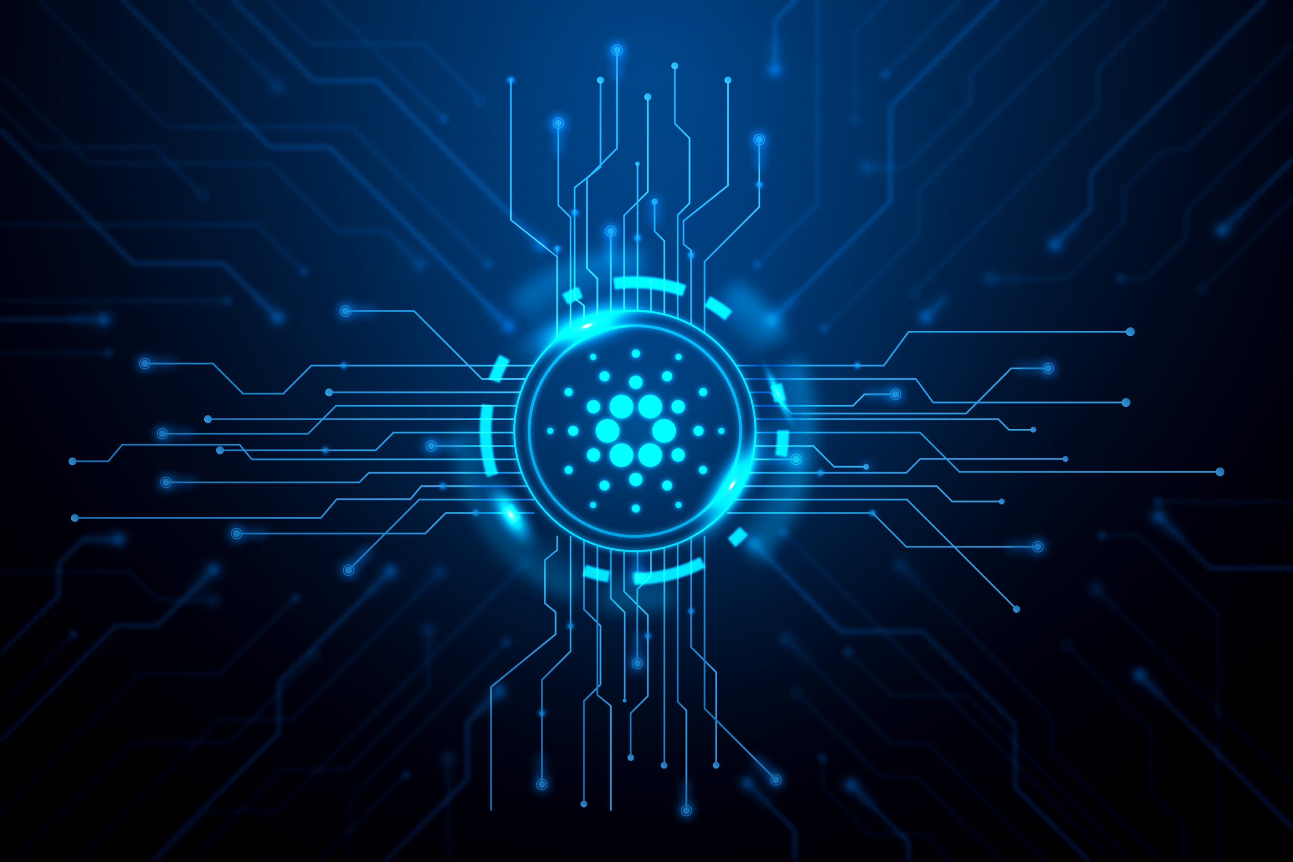 Cardano (ADA) Price Breaks Down Below $0.3: A Chance for Higher Profits?