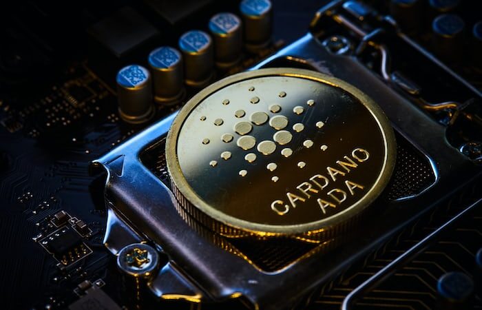 Cardano (ADA) Price Breaks Down Below $0.3: A Chance for Higher Profits?