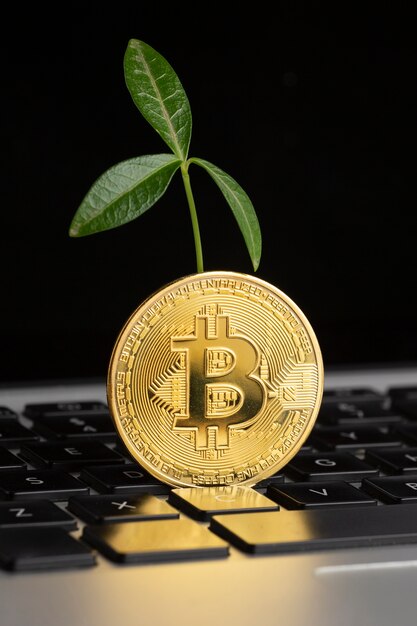 JPMorgan Sees BTC Hitting $170,000 in a Way Similar to How Gold Is Rising