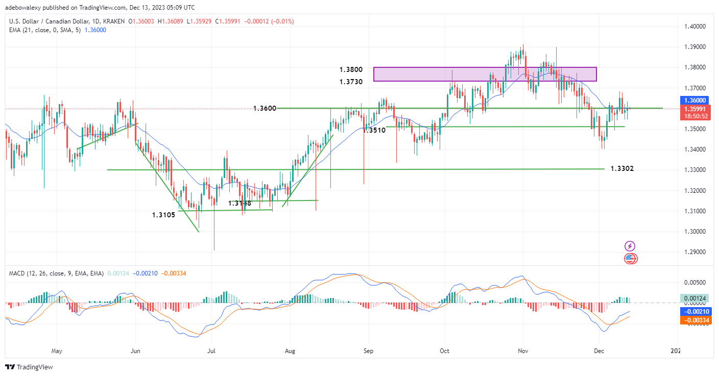 Weekly Analysis of Major FX Pairs (December 13th–20th, 2023)