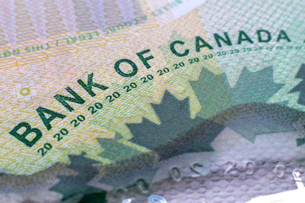 Friday Surge: The Canadian Dollar Rides High, Fueled by Crude Oil Momentum