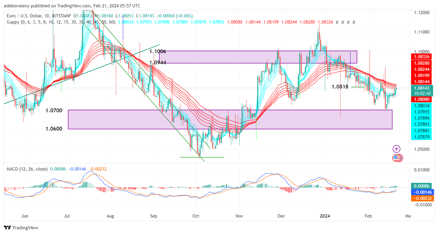 Weekly Analysis of Major FX Pairs (February 21st–28th, 2024)