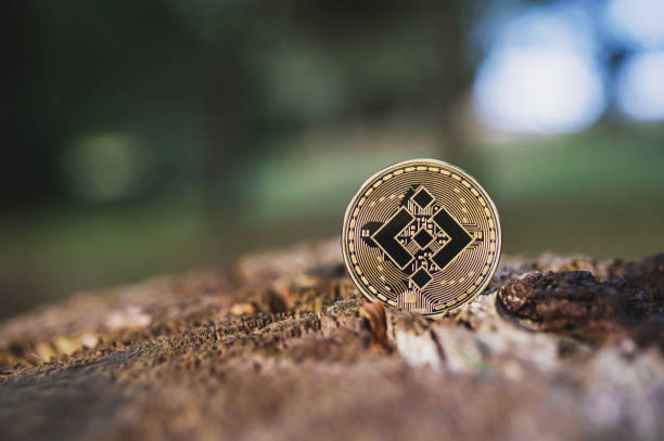 Pepe Coin's Value Soars 70% After Binance Expands Support for PEPE