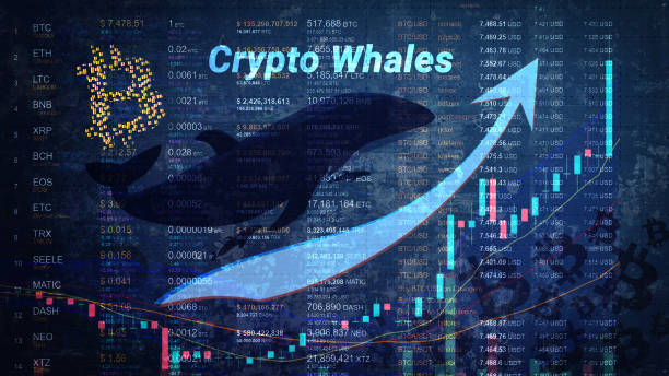 marking a significant shift from his previous anti-crypto position.