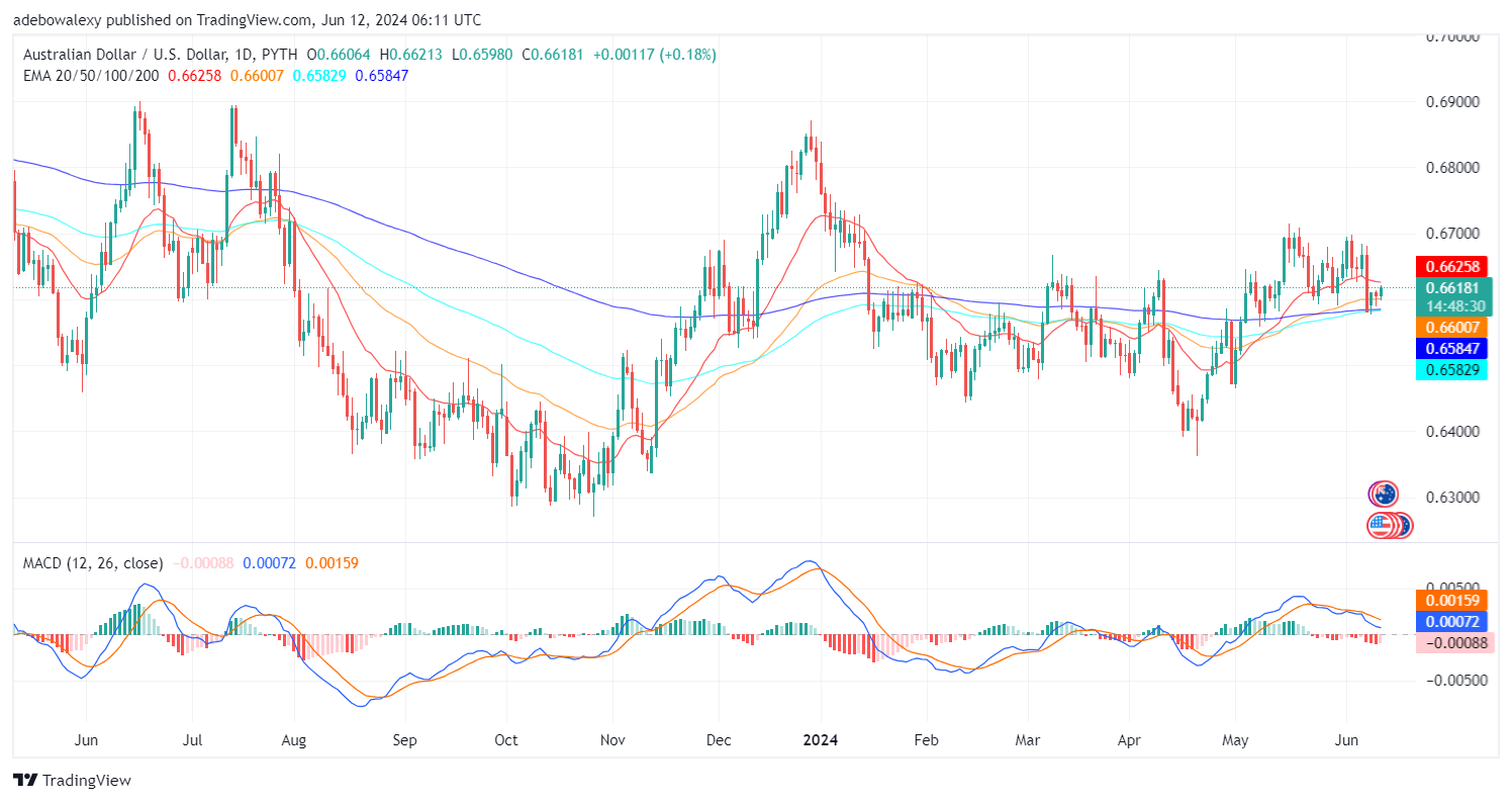 Weekly Analysis of Major FX Pairs (June 12th-19th, 2024)