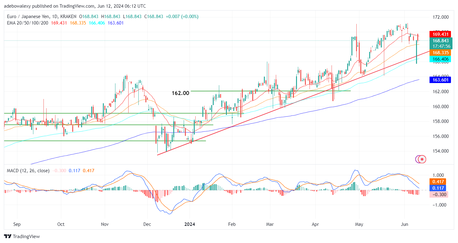 Weekly Analysis of Major FX Pairs (June 12th-19th, 2024)