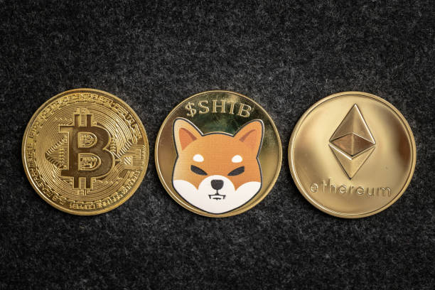 Shiba Inu Price Drops 5% as Whales Acquire Large Amounts of SHIB