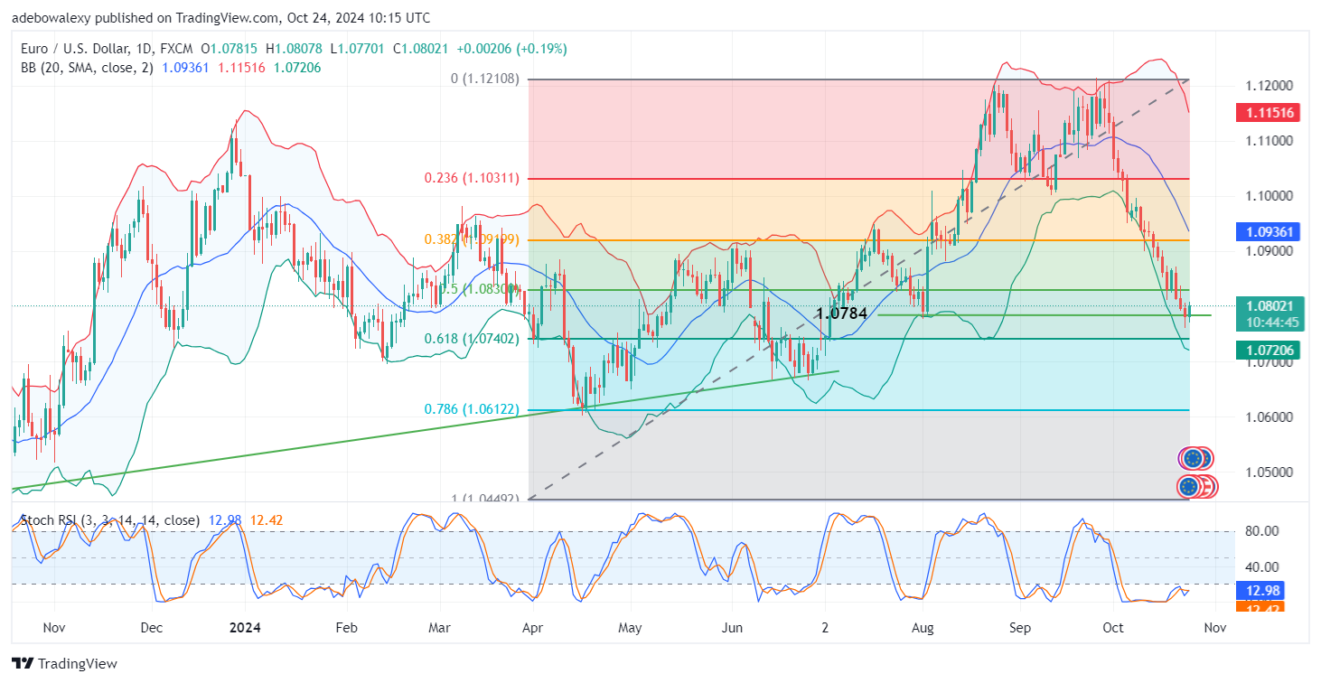 Weekly Analysis of Major FX Pairs (October 24th – 31st, 2024)