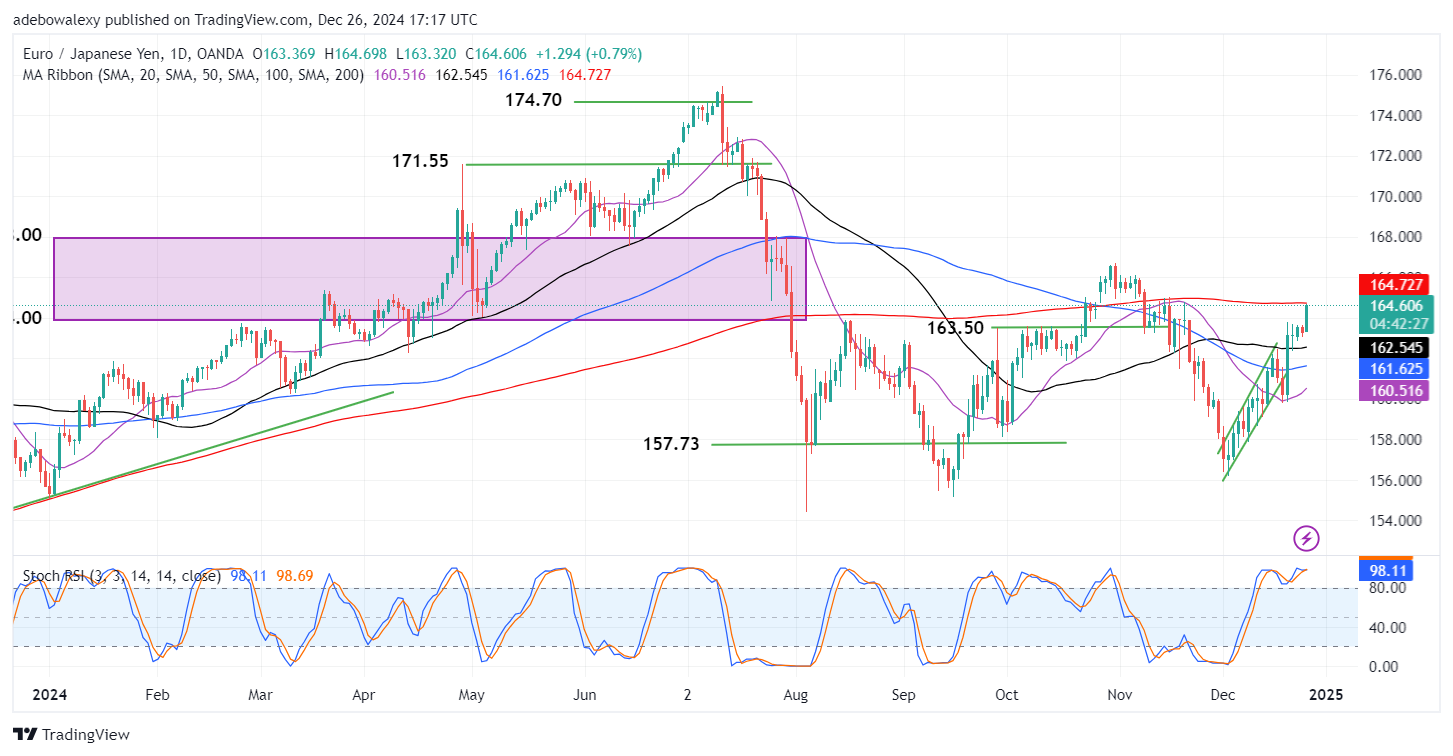 Weekly Analysis of Major FX Pairs (December 25th, 2024 – January 1st, 2025)