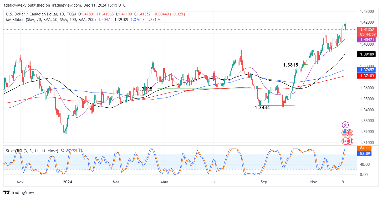 Weekly Analysis of Major FX Pairs (December 11th - 18th, 2024)