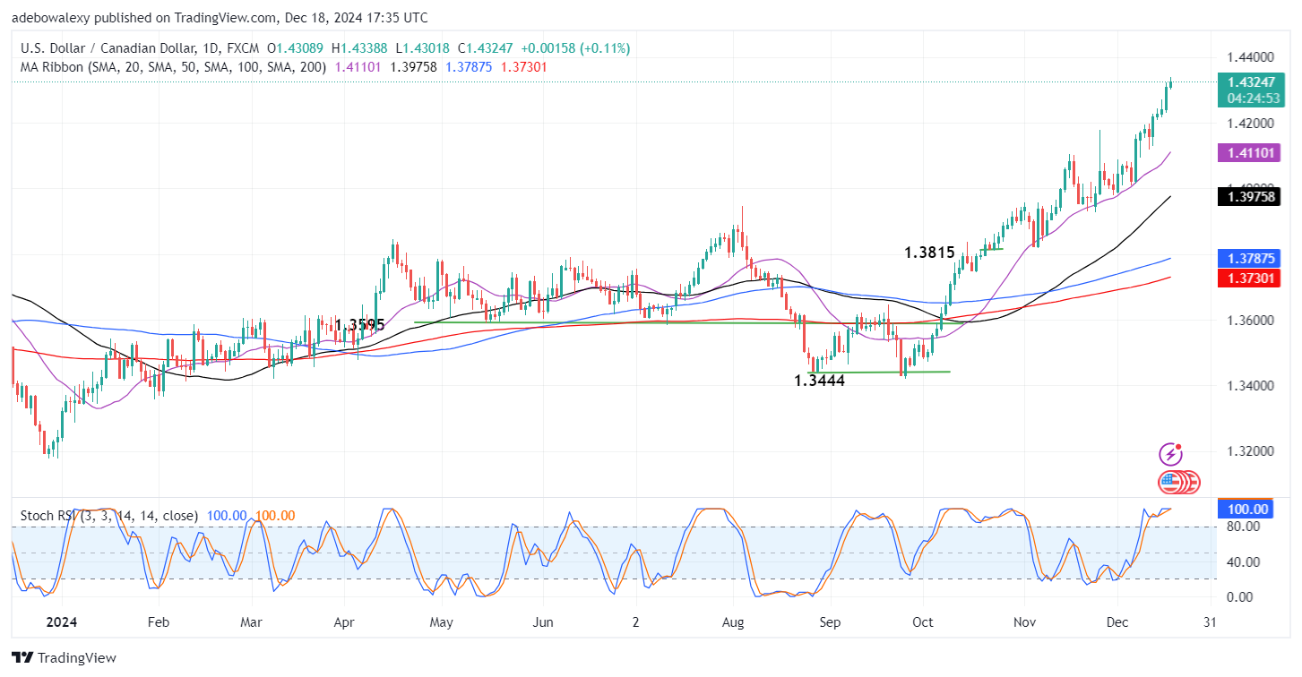Weekly Analysis of Major FX Pairs (December 18th - 25th, 2024)