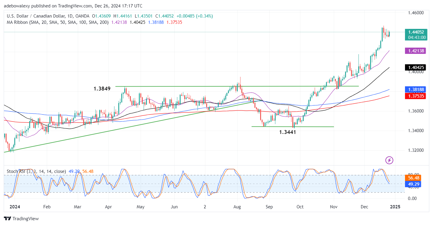 Weekly Analysis of Major FX Pairs (December 25th, 2024 – January 1st, 2025)