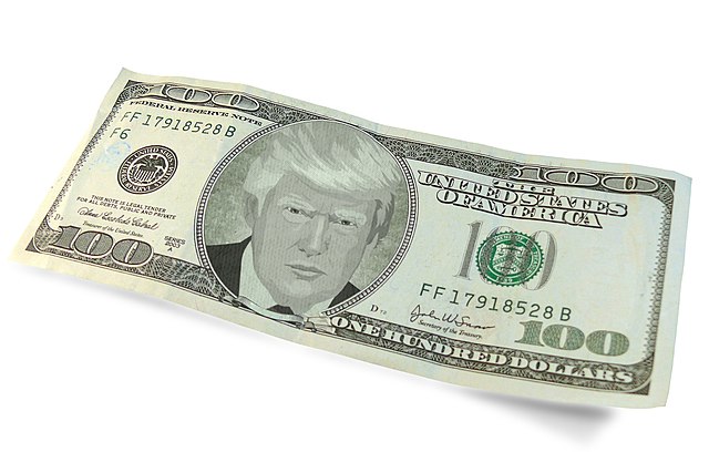 The US Dollar is showing signs of recovery as attention shifts to critical developments ahead of President-elect Donald Trump's inauguration.