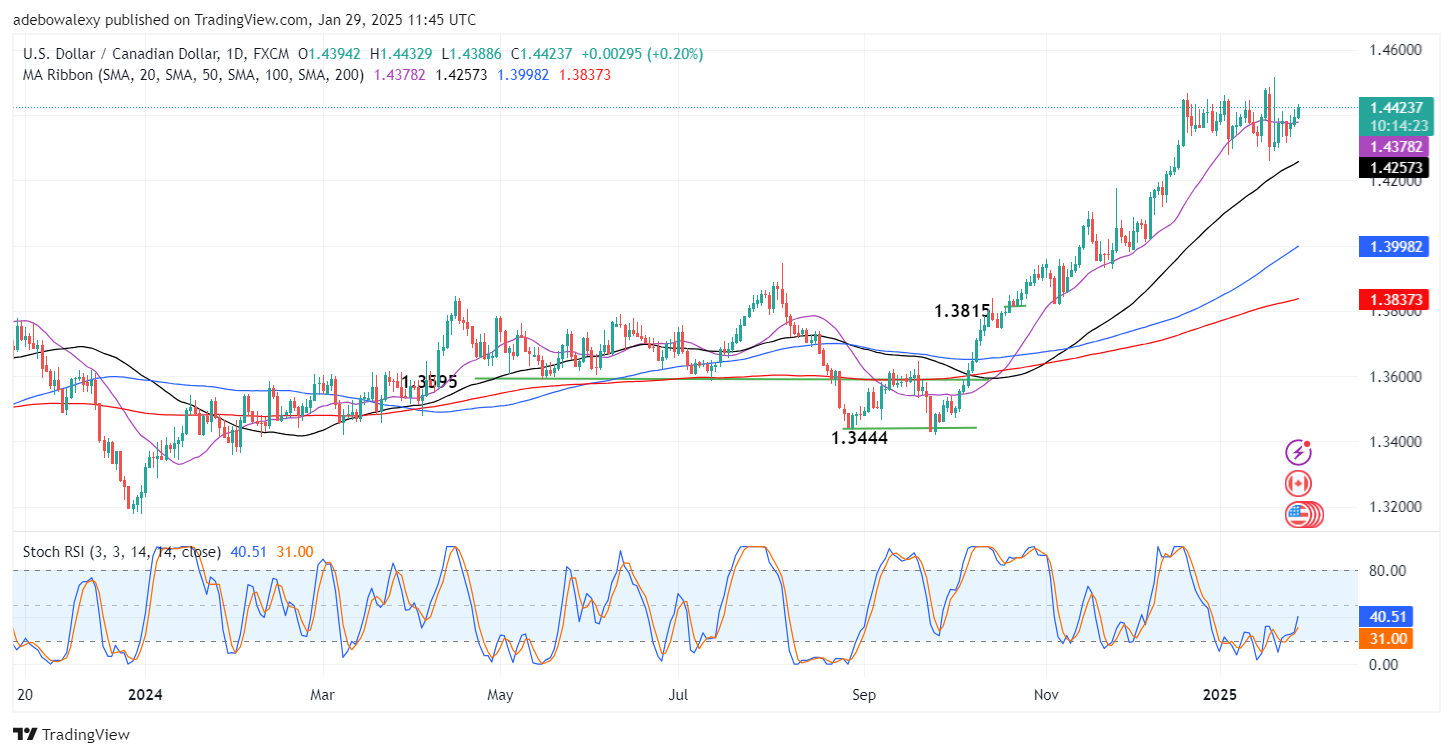 Weekly Analysis of Major FX Pairs (January 29 – February 5, 2025)