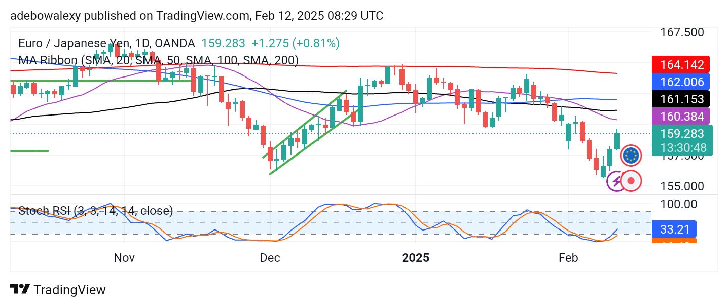 Weekly Analysis of Major FX Pairs (February 12-19, 2025)