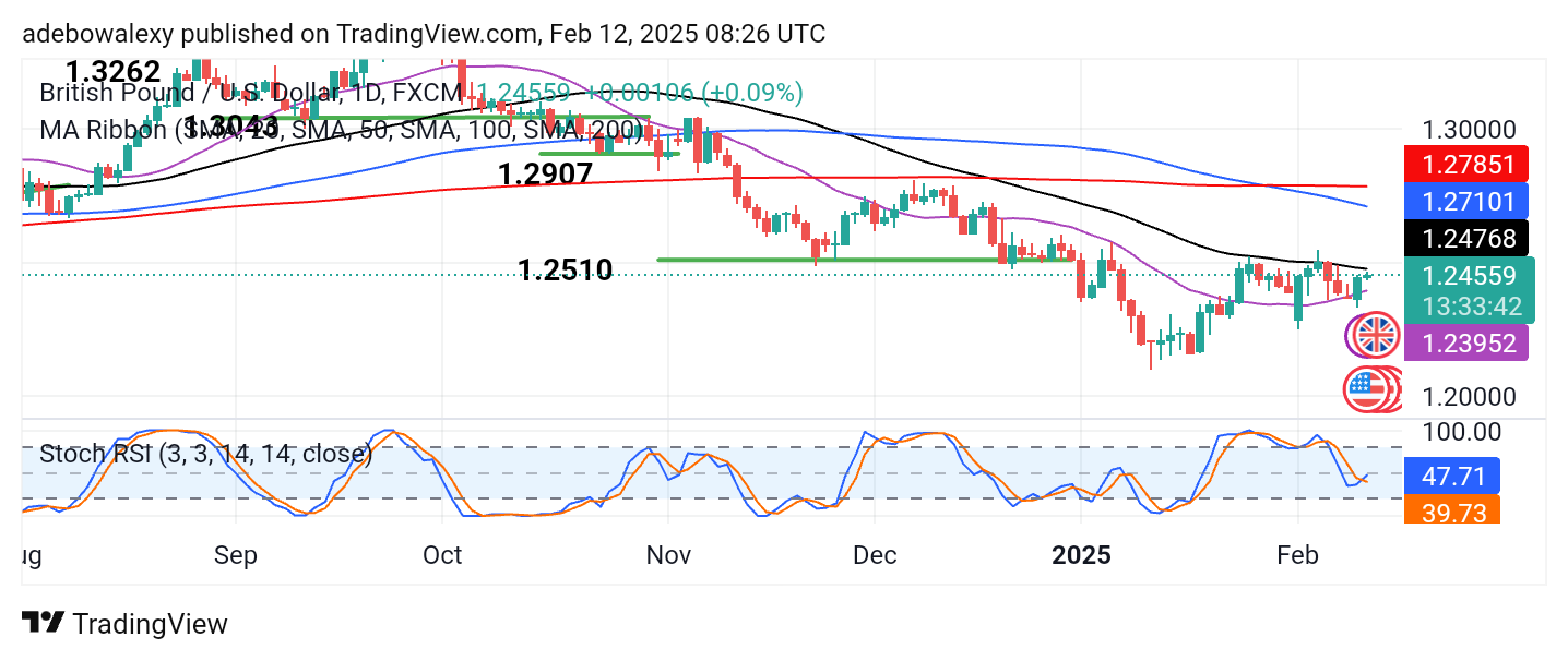 Weekly Analysis of Major FX Pairs (February 12-19, 2025)