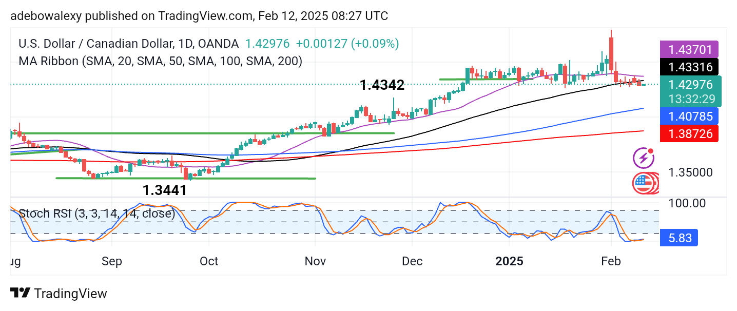 Weekly Analysis of Major FX Pairs (February 12-19, 2025)