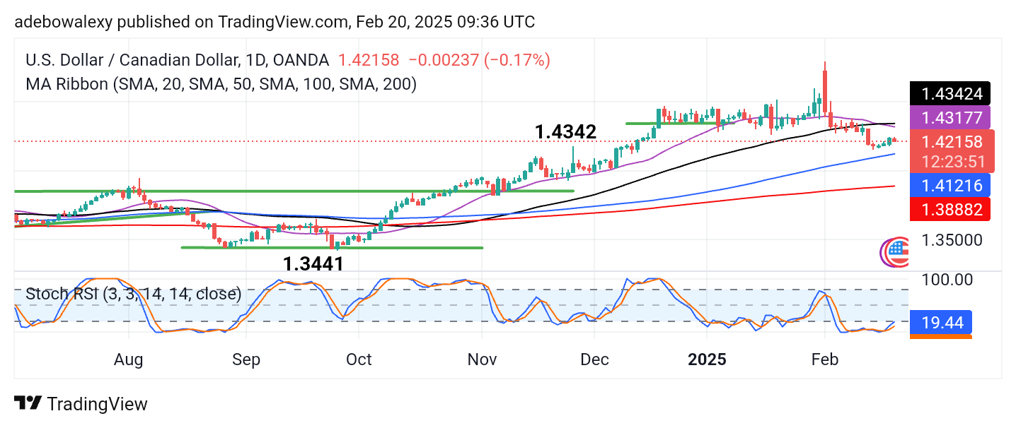 Weekly Analysis of Major FX Pairs (February 20 - 27, 2025)