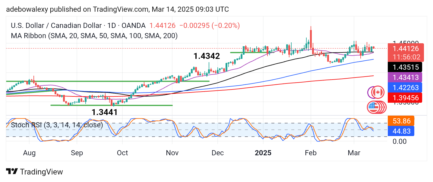Weekly Analysis of Major FX Pairs (March 14-19, 2025)