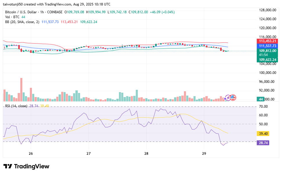 Bitcoin Market Outlook: Bears Gain Control, but Short-Term Charts Offer Glimmers of Hope for Bulls