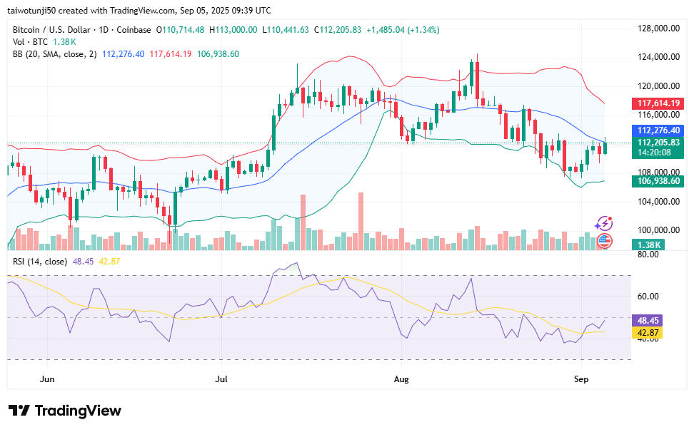 Bitcoin’s Tug of War: Bulls Gain Ground but Bears Stay Hopeful