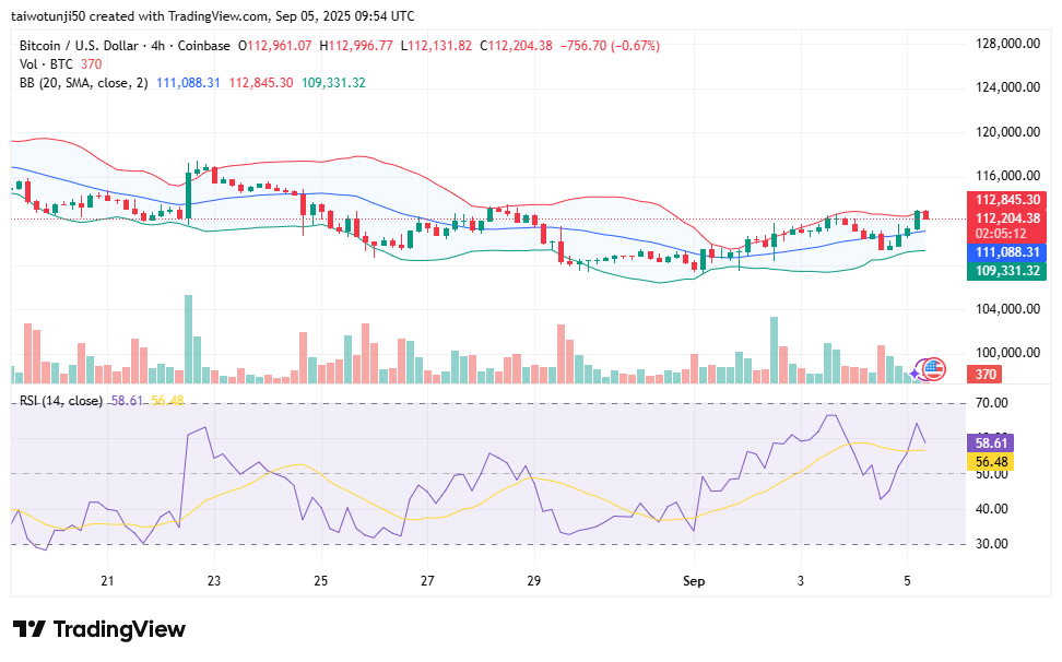 Bitcoin’s Tug of War: Bulls Gain Ground but Bears Stay Hopeful