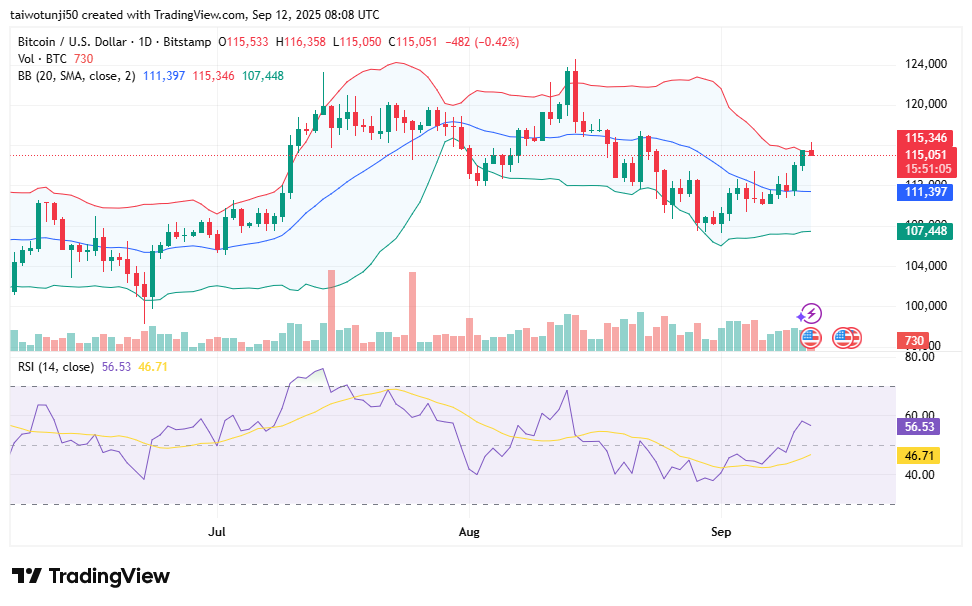 Bitcoin Market Outlook: Analyzing Bullish Momentum, Bearish Resistance, and Key Technical Signals