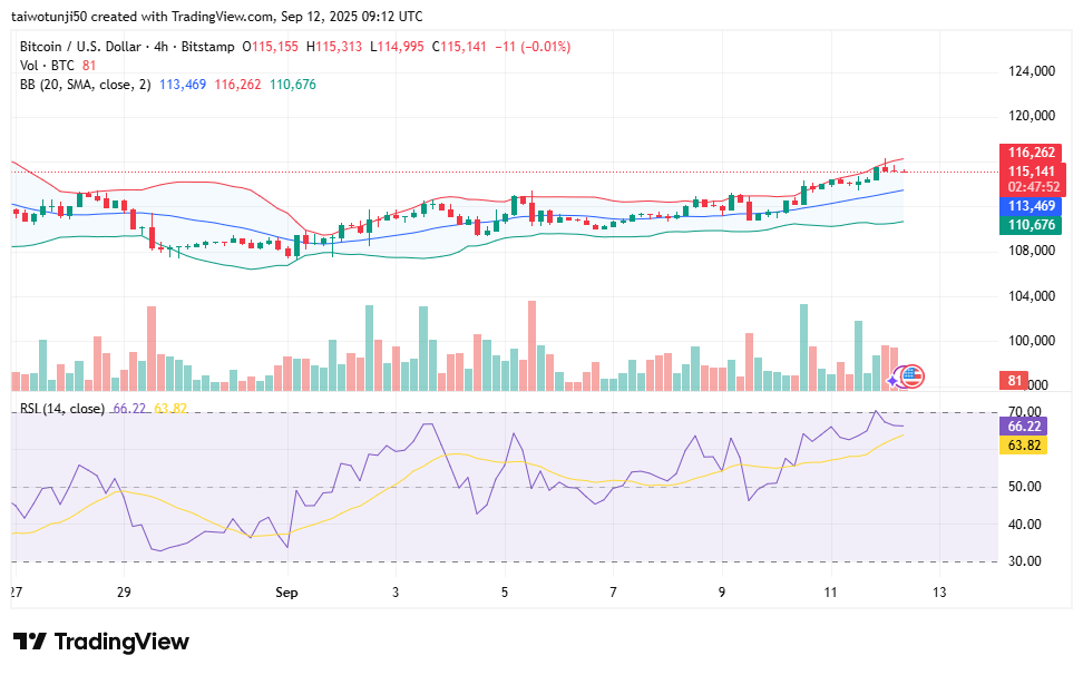 Bitcoin Market Outlook: Analyzing Bullish Momentum, Bearish Resistance, and Key Technical Signals