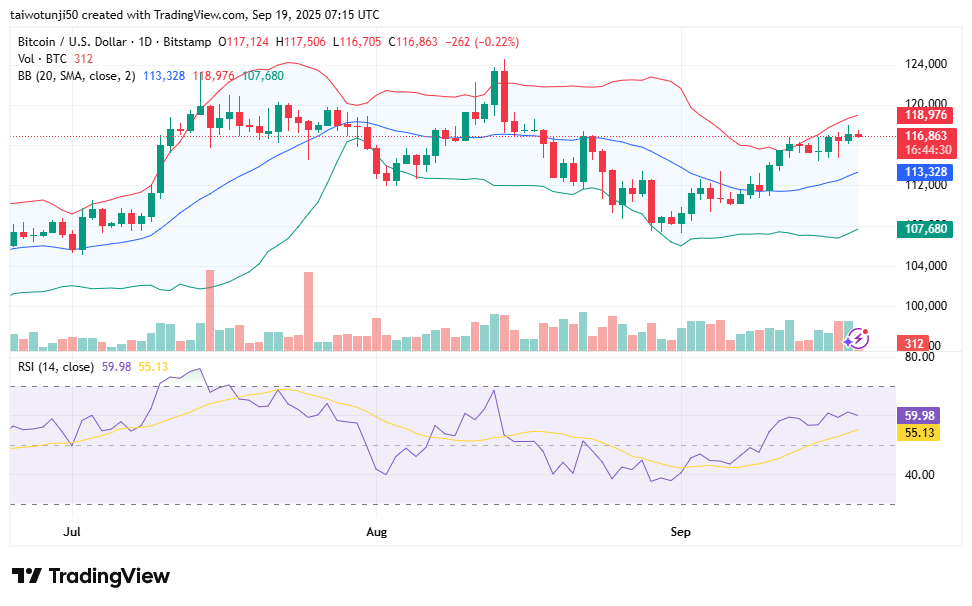 Bitcoin Holds Its Ground: Bulls and Bears Battle in a Consolidating Market