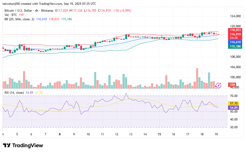 Bitcoin Holds Its Ground: Bulls and Bears Battle in a Consolidating Market