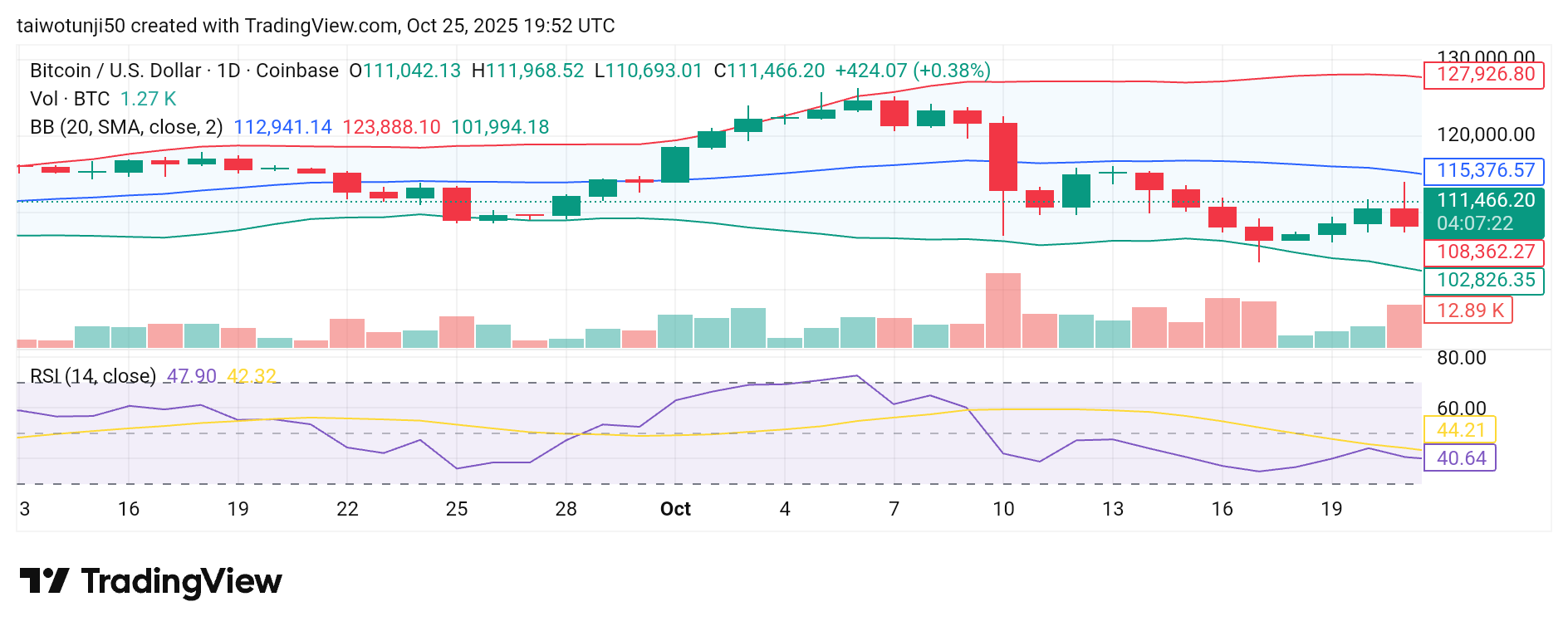 Bitcoin Shows Remarkable Strength Amid Market Volatility