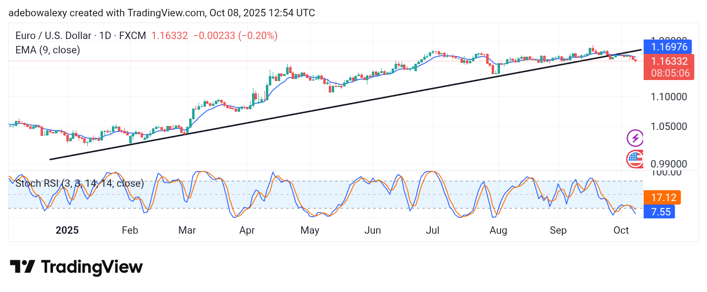 Weekly Analysis of Major FX Pairs (October 8th – 15th, 2025)