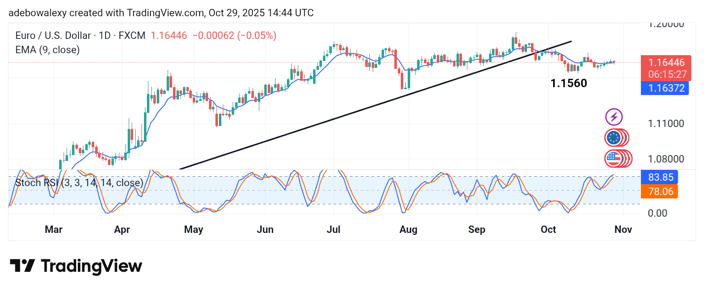 Weekly Analysis of Major FX Pairs (October 29 – November 5, 2025)