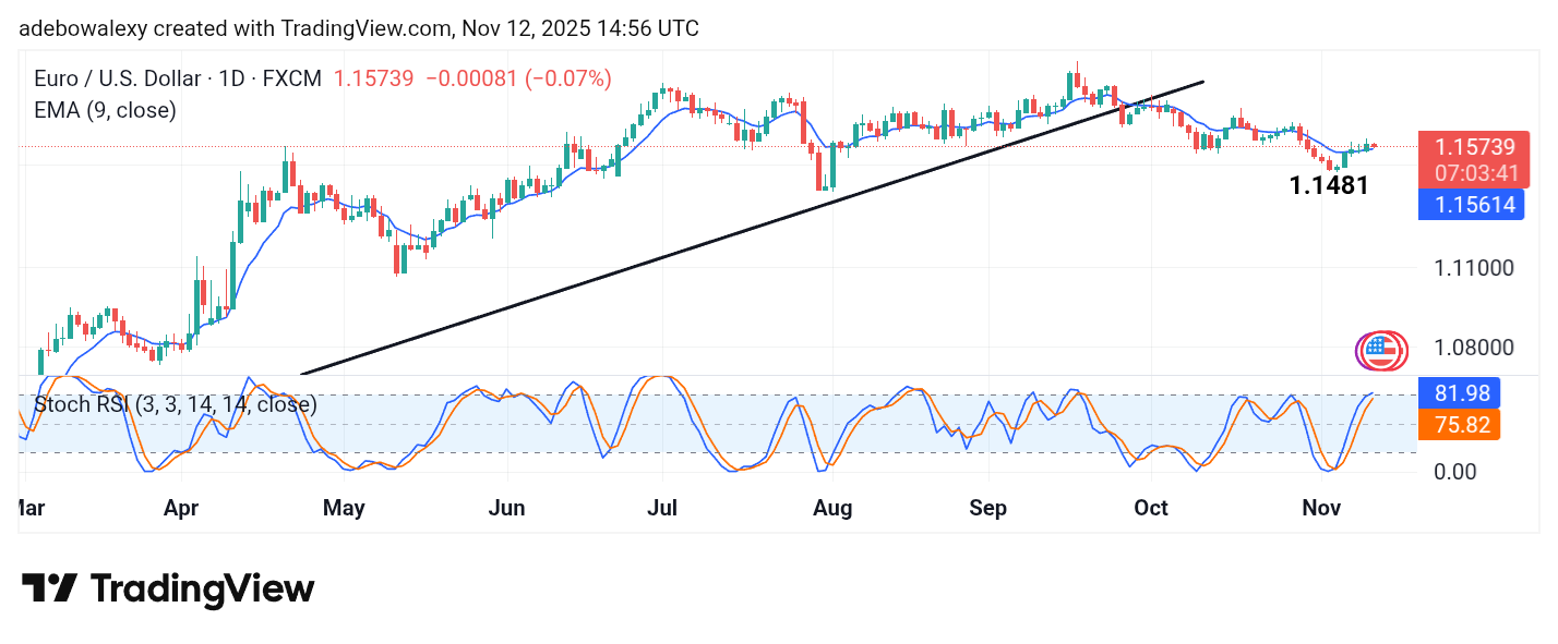 Weekly Analysis of Major FX Pairs (November 12–19, 2025)