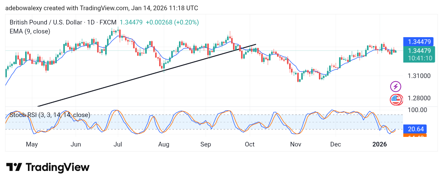 Weekly Analysis of Major FX Pairs (January 14th–21st, 2026)