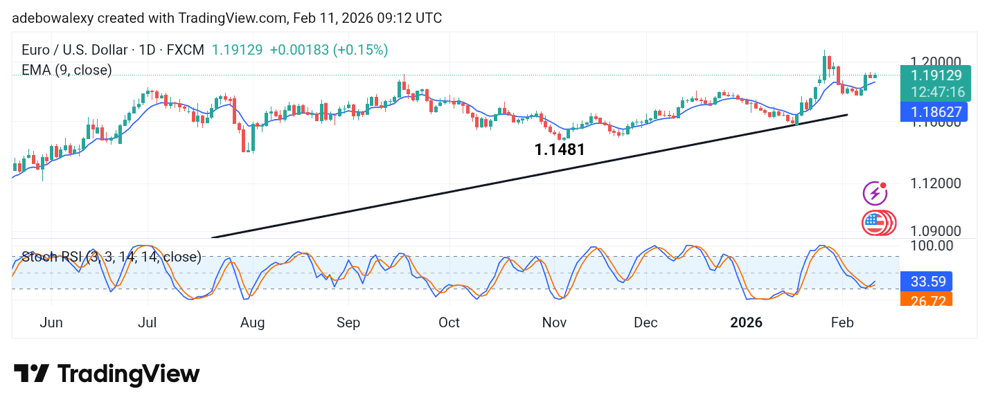 Weekly Analysis of Major FX Pairs (February 11th – 18th, 2026)